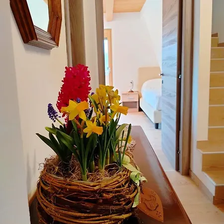 Antico Melo 3* Vignole