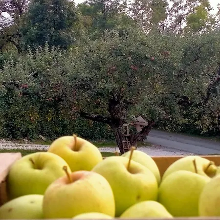 לינה וארוחת בוקר Antico Melo Vignole