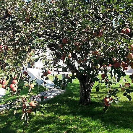 Antico Melo Bed and breakfast Vignole