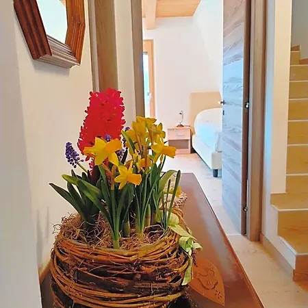 Bed and breakfast Antico Melo Vignole