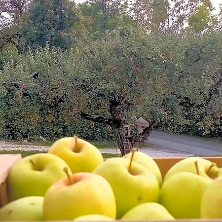 Antico Melo