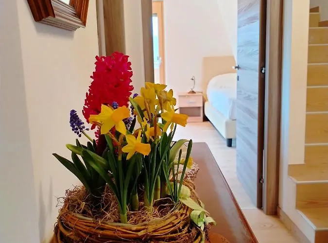 Antico Melo 3* Vignole