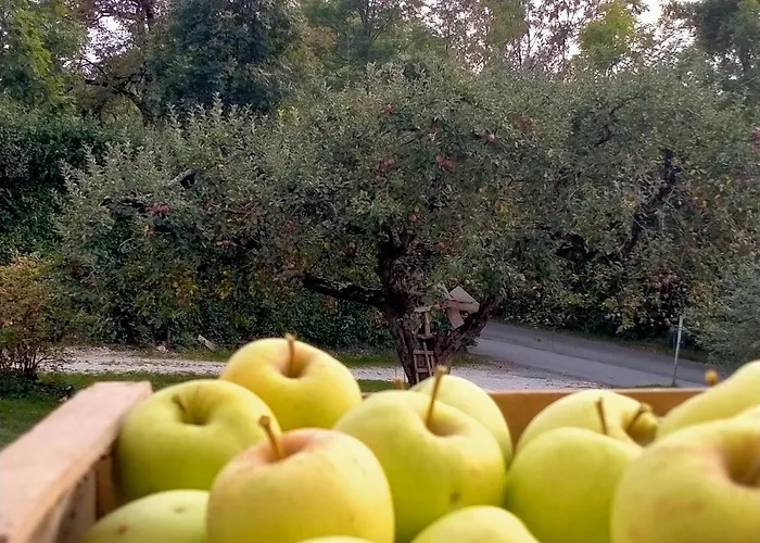 Alojamento de Acomodação e Pequeno-almoço Antico Melo Vignole